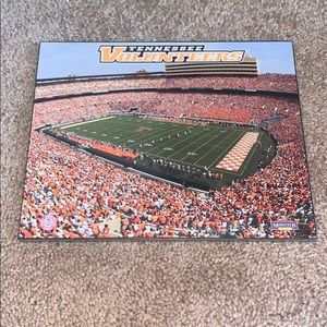 UT mounted memories wall decor- NEW